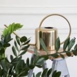 cadeau eco-responsable accessoire