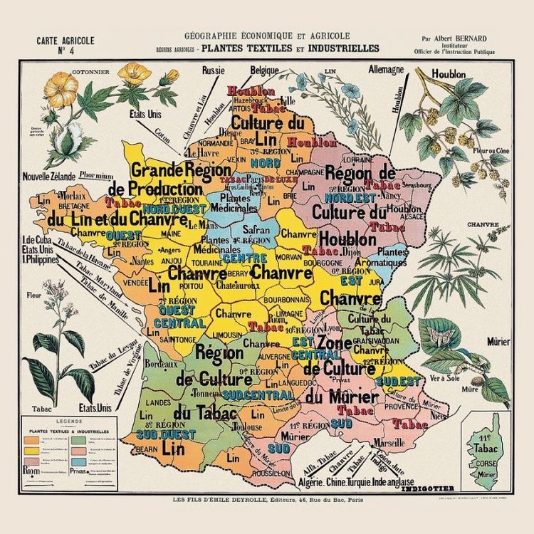 lin chanvre matière textile naturelle